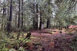 16616 74th St NW, Vaughn, WA 98394 - Photo 1