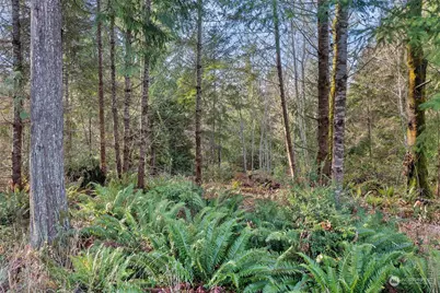 0 E South Island Drive, Shelton, WA 98584 - Photo 1