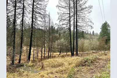 36803 NW Jenny Creek Road, La Center, WA 98629 - Photo 1