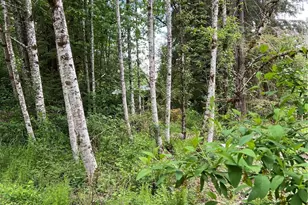 16024 Low Ln, Deming, WA 98244 - Photo 1