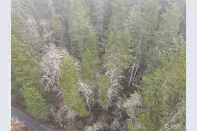 0 Pine Tree Road, Toledo, WA 98591 - Photo 1