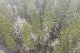 0 Pine Tree Rd, Toledo, WA 98591 - Photo 1