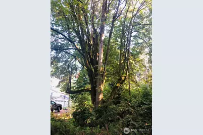 10415 107th Street Court, Anderson Island, WA 98303 - Photo 1