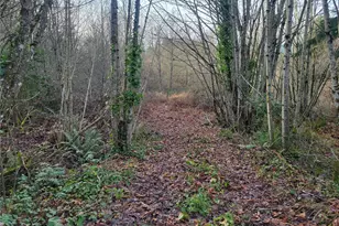 1200 Baby Doll Rd E, Port Orchard, WA 98366 - Photo 1