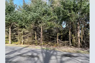 216 SE Werner Court, Ocean Shores, WA 98569 - Photo 1