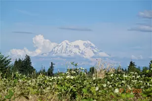 13921 Old Farm Ln SE, Yelm, WA 98597 - Photo 1