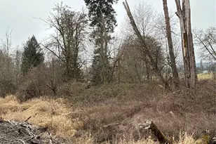 24 Xx Howard Ave, Centralia, WA 98531 - Photo 1