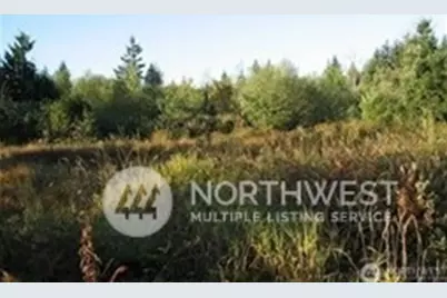 0 Avery Road E, Chehalis, WA 98532 - Photo 1