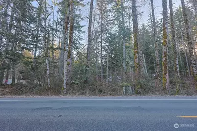 56104 Kernahan Road E, Ashford, WA 98304 - Photo 1
