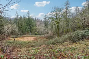 205 NE 353rd Ave, Washougal, WA 98671 - Photo 1