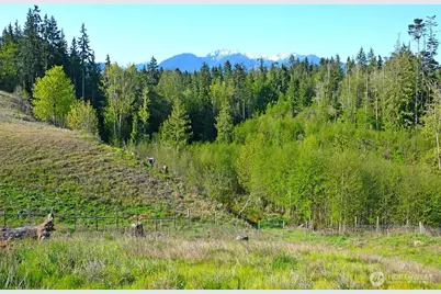 1000 Lemmon Road, Port Angeles, WA 98362 - Photo 1