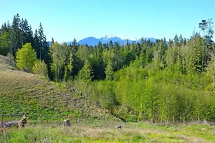 1000 Lemmon Rd, Port Angeles, WA 98362 - Photo 1