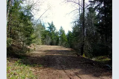 0 Madrona Ridge Drive, Brinnon, WA 98320 - Photo 1