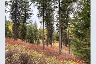 0 Tbd Old Kettle Falls Road, Republic, WA 99166 - Photo 1