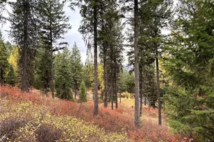 0 Tbd Old Kettle Falls Rd, Republic, WA 99166 - Photo 1