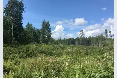 13617 144th Street NW, Gig Harbor, WA 98329 - Photo 1