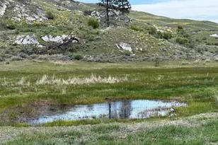 920 N Star Rd, Brewster, WA 98812 - Photo 1