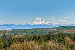 306 Dax Spur ***lot Only**** Rd, Castle Rock, WA 98611 - Photo 1