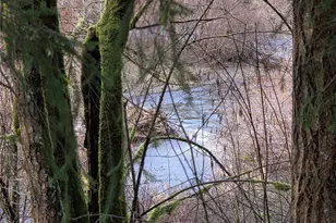 8021 SW Treasure River Trail, Olympia, WA 98512 - Photo 1