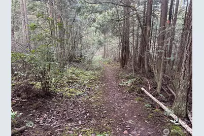 9999 Nka Mason Street, Port Townsend, WA 98368 - Photo 1