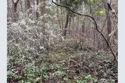 99 Nka Peary Avenue, Port Townsend, WA 98368 - Photo 1