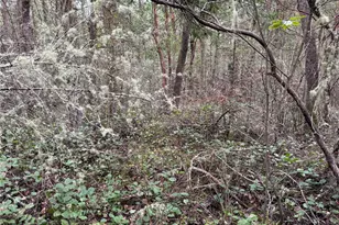 99 Nka Peary Ave, Port Townsend, WA 98368 - Photo 1