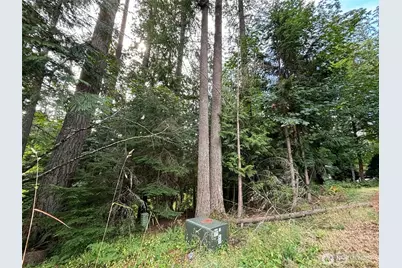 8 Morning Glory Drive, Bellingham, WA 98229 - Photo 1