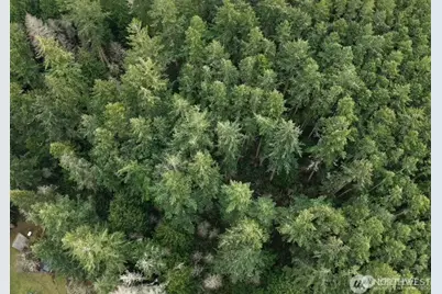 4250 Cleveland St, Port Townsend, WA 98368 - Photo 1