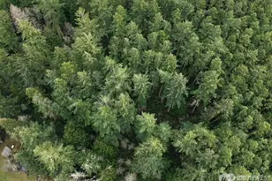 4250 Cleveland St, Port Townsend, WA 98368 - Photo 1