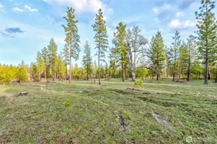 16 Greyback Mt Rd, Goldendale, WA 98620 - Photo 1
