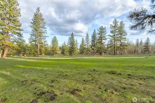 20 Greyback Mt Rd, Goldendale, WA 98620 - Photo 1