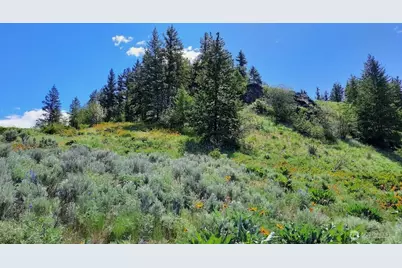 0 Tbd Windmill Mountain, Oroville, WA 98844 - Photo 1