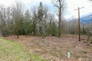 31101 Boulder Creek Dr, Arlington, WA 98223 - Photo 1