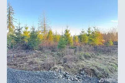 378 Hawkins Road, Winlock, WA 98565 - Photo 1