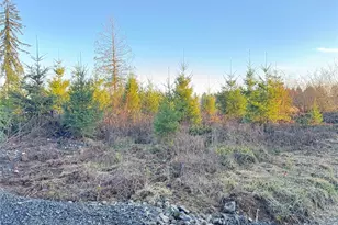 378 Hawkins Rd, Winlock, WA 98565 - Photo 1