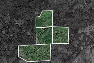 0 Brown Road SW, Olympia, WA 98512 - Photo 1