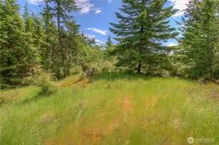 155 Dragonfly Dr, Orcas Island, WA 98279 - Photo 1