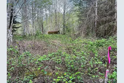 15709 125th Avenue NW, Gig Harbor, WA 98329 - Photo 1