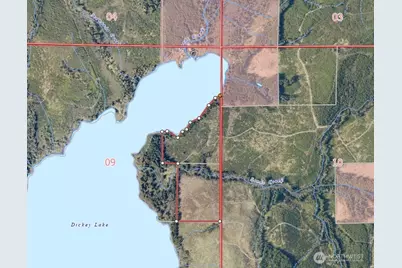 9999 Dickey Lake, Forks, WA 98331 - Photo 1
