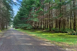 0 Xx South Fork Rd Rd, Raymond, WA 98577 - Photo 1