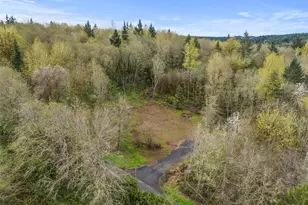 10931 Lundeen Rd SW, Rochester, WA 98579 - Photo 1