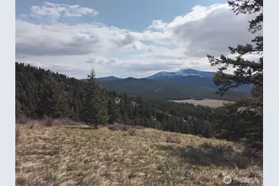 26 Mule Deer Ridge Road, Oroville, WA 98844 - Photo 1