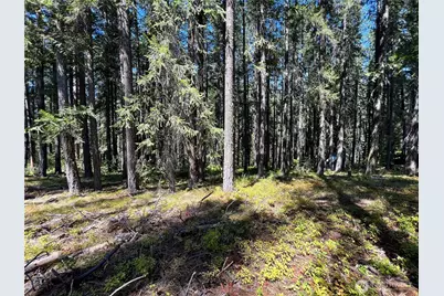 19 Noble Lane, Leavenworth, WA 98826 - Photo 1