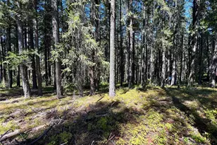 19 Noble Ln, Leavenworth, WA 98826 - Photo 1