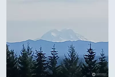 0 Hale Road W, Winlock, WA 98596 - Photo 1