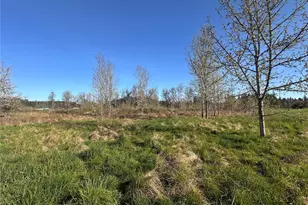 517 Toledo Salmon Creek Rd, Toledo, WA 98591 - Photo 1