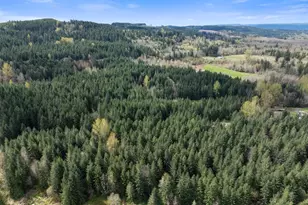 0 Tooley Rd, Toledo, WA 98591 - Photo 1