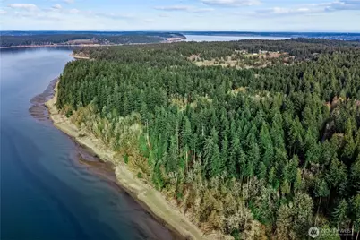 9538 Steffenson Road, Anderson Island, WA 98303 - Photo 1