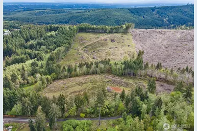 0 Cousins Rd, Adna, WA 98522 - Photo 1