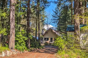 130 Mt Rainier Dr, Packwood, WA 98361 - Photo 1